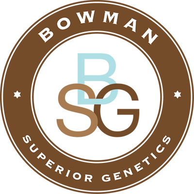 Bowman Superior Genetics logo